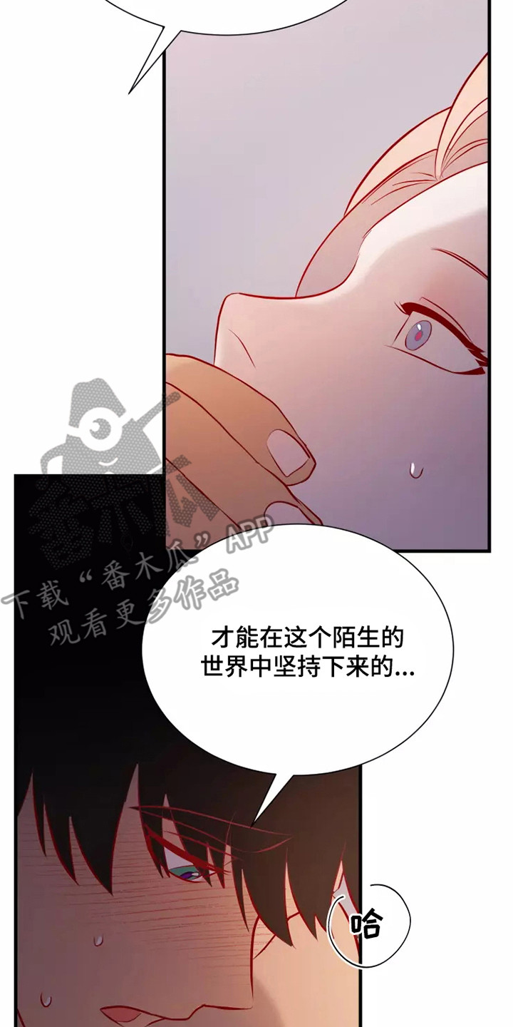 第54章：一见钟情7