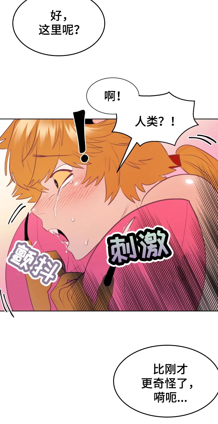 第19章：找到门口14