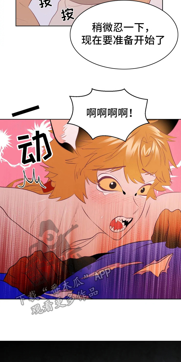 第17章：帮忙11