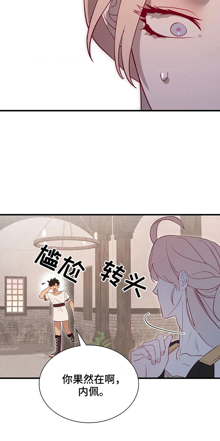 第114章：机密24