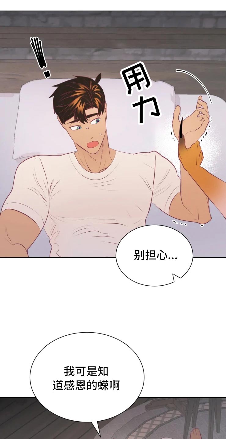 第32章：人类的弱小13