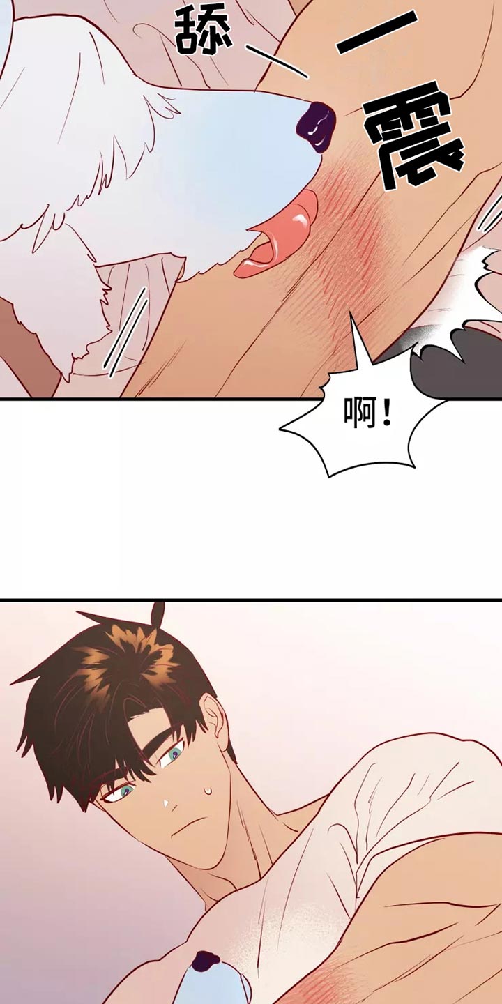 第47章：大型怪物7