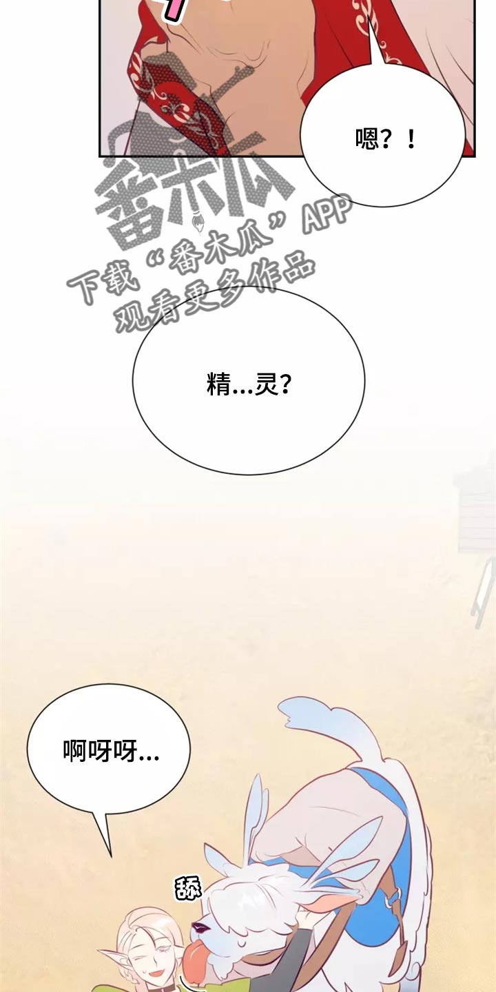 第40章：药品4