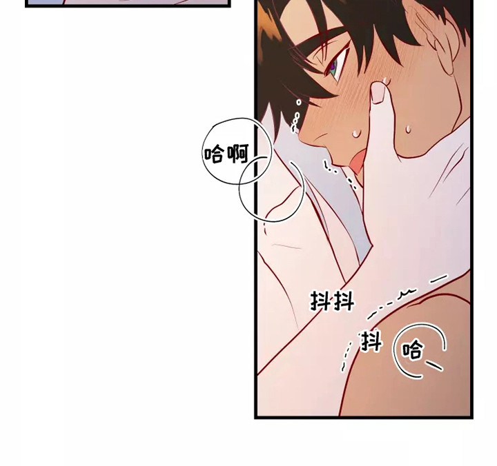 第54章：一见钟情16