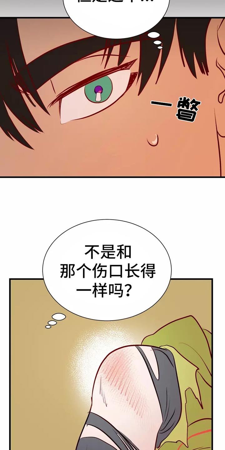 第47章：大型怪物10