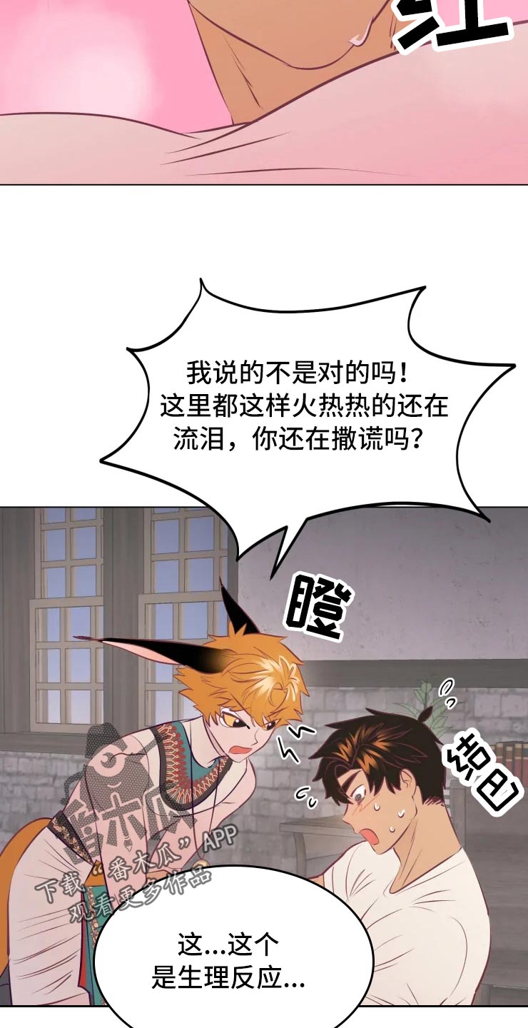 第32章：人类的弱小17