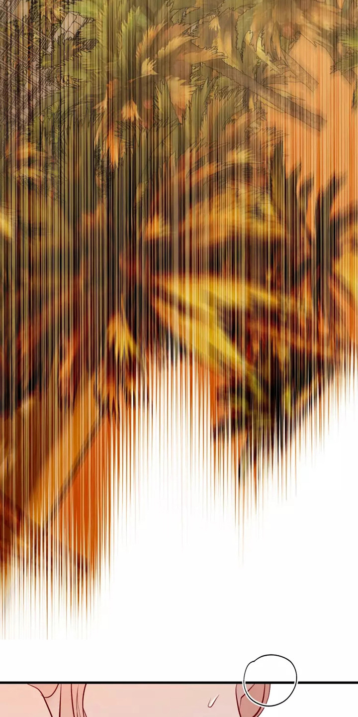 第49章：快跑13