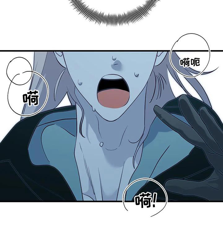 第95章：有声音27