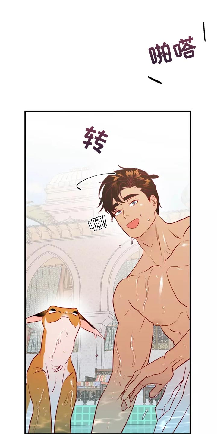 第62章：太夸张了25