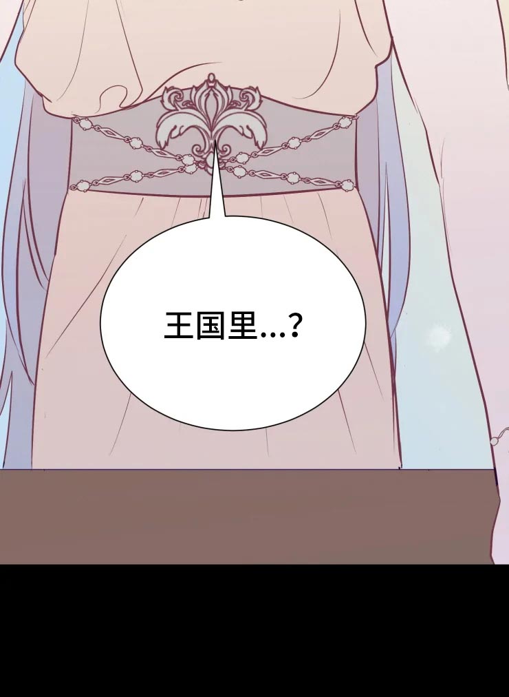第33章：王国记录19