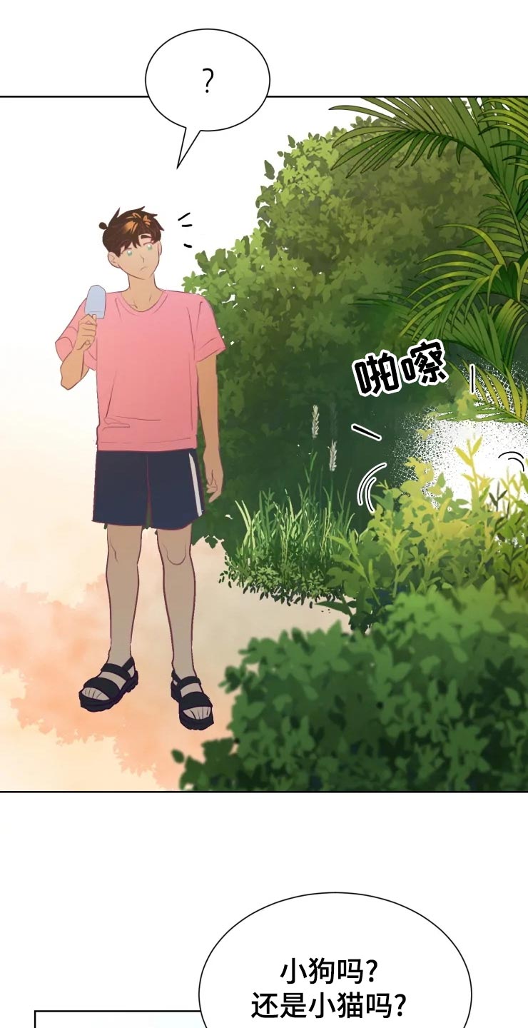 第29章：初恋22