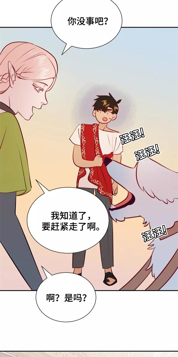 第40章：药品27
