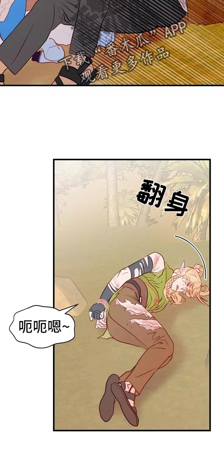 第47章：大型怪物5