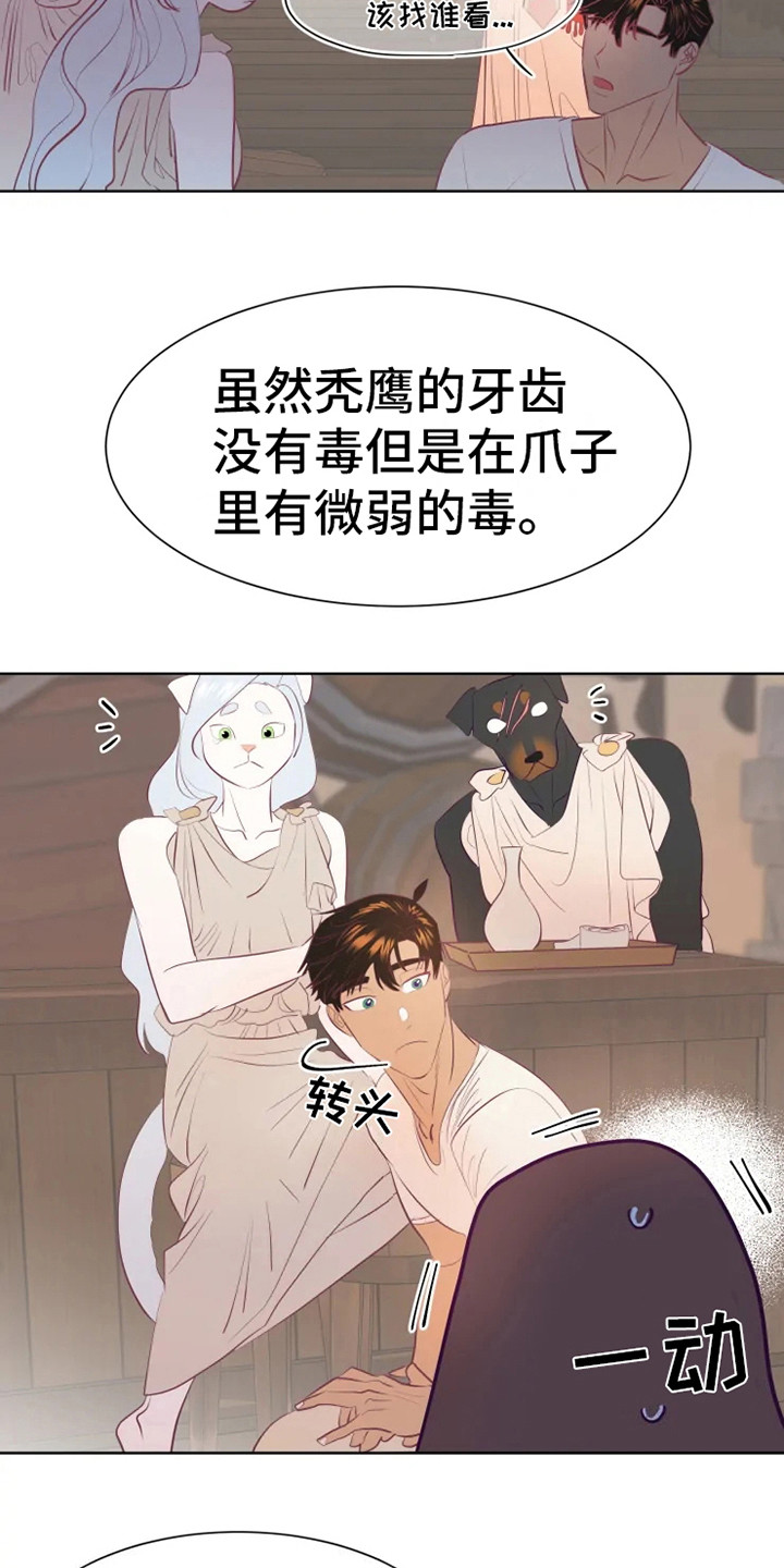 第11章：紧急处理13