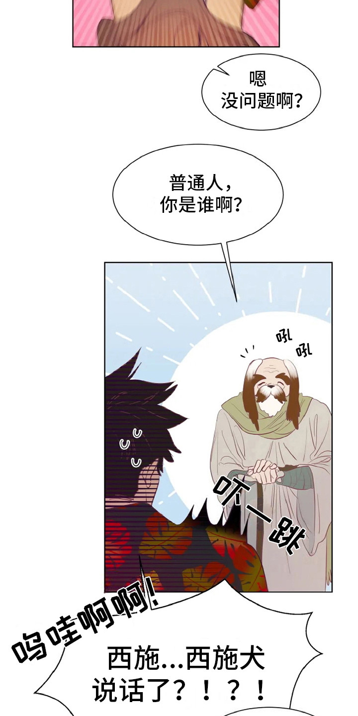 第3章：兽人6