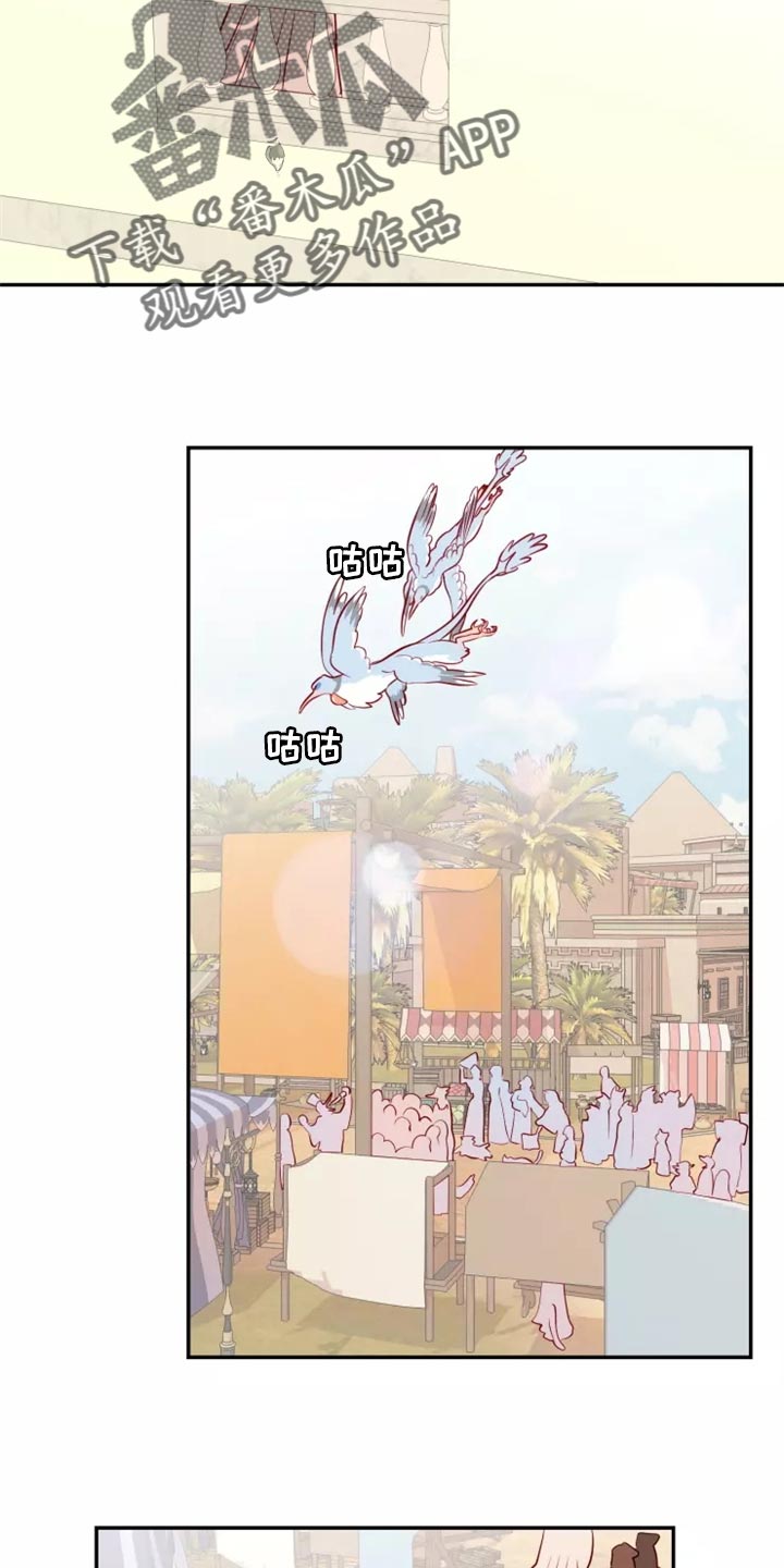第40章：药品18