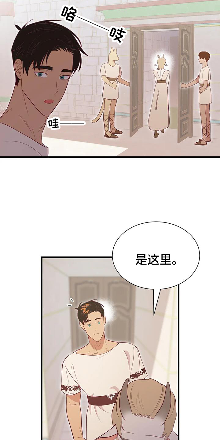 第123章：开心10