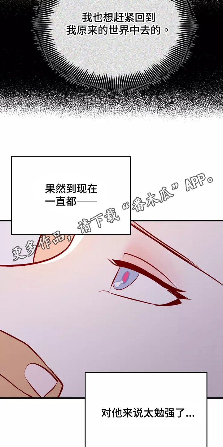 第54章：一见钟情10