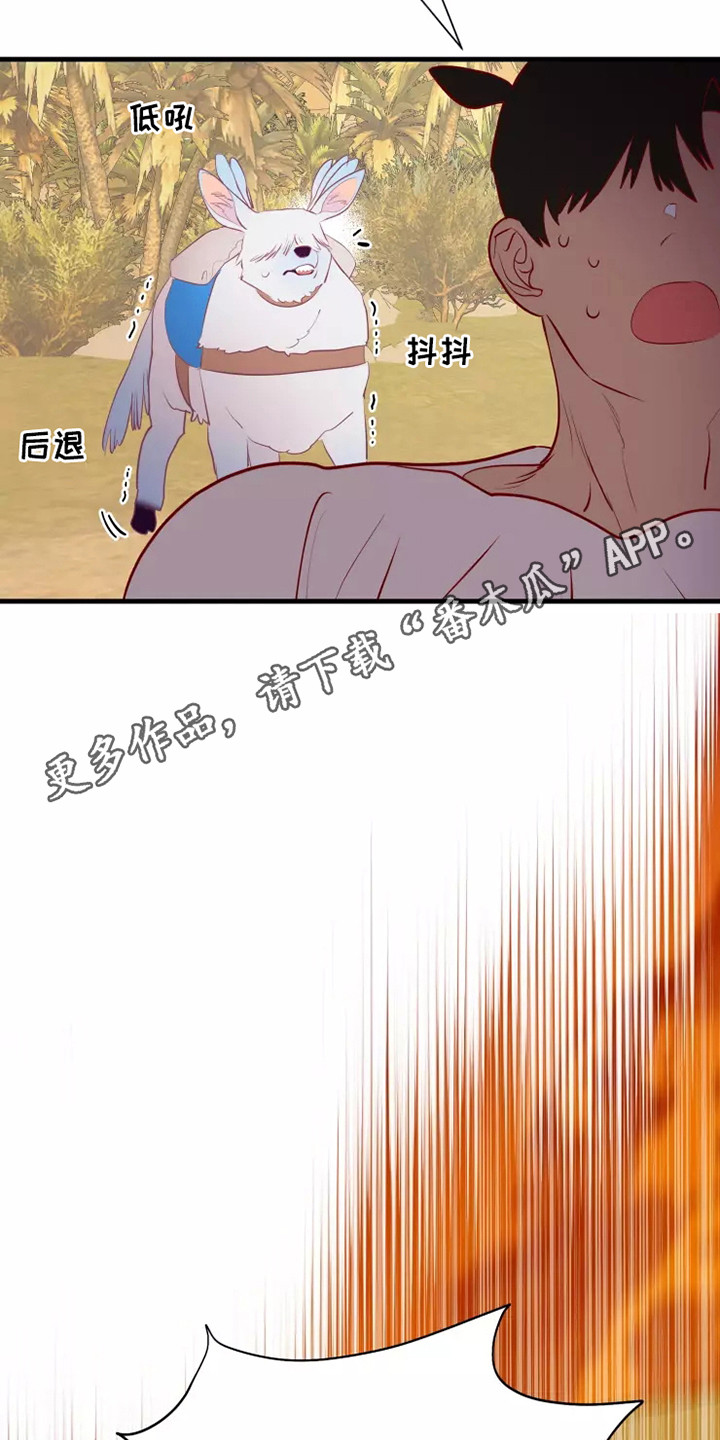 第49章：快跑11