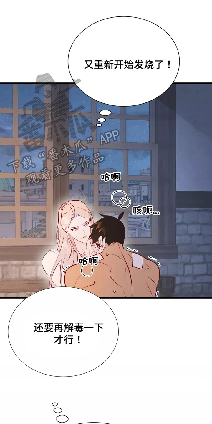 第54章：一见钟情17