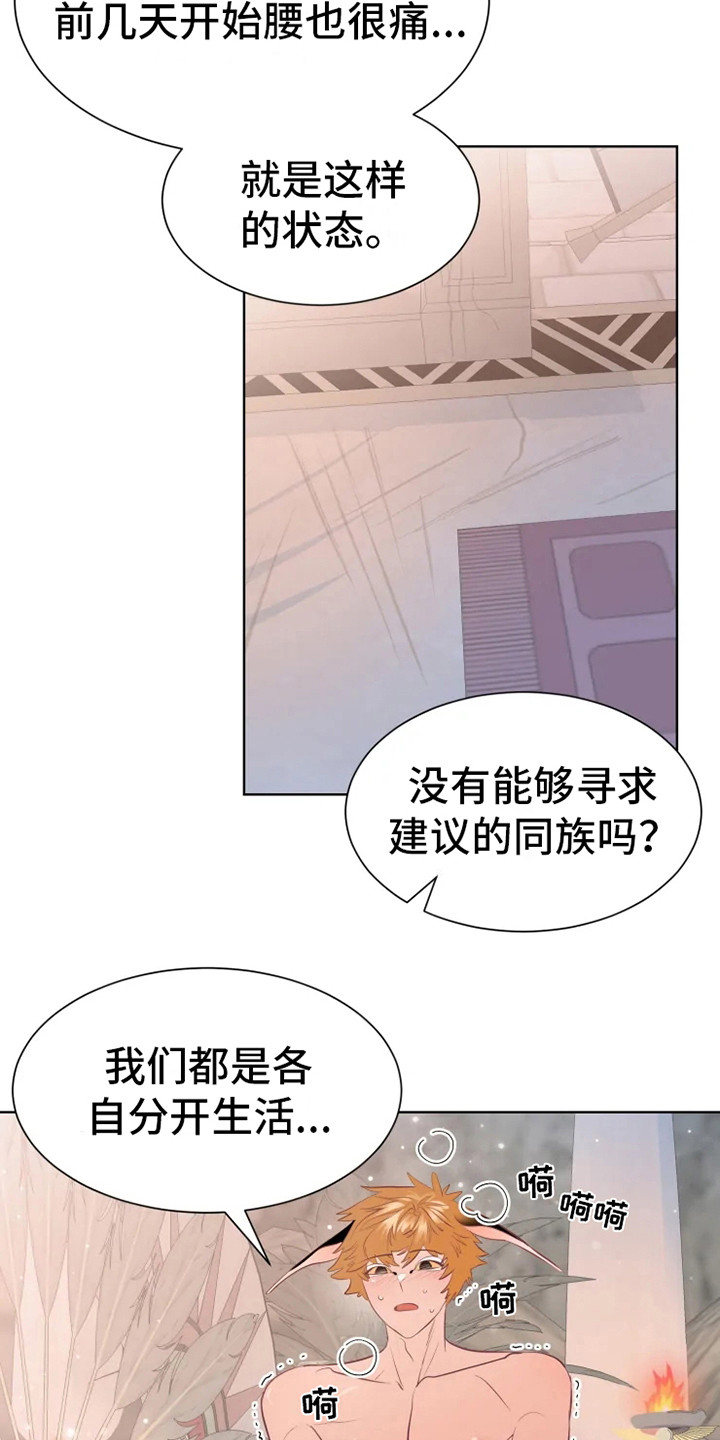第16章：症状13