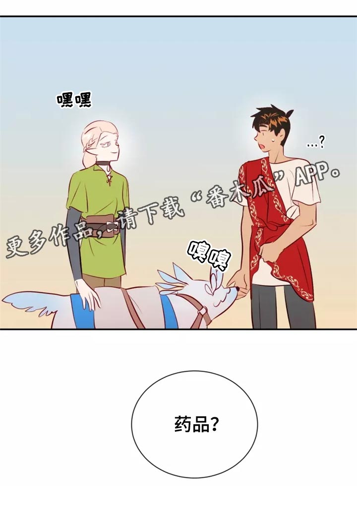 第40章：药品31