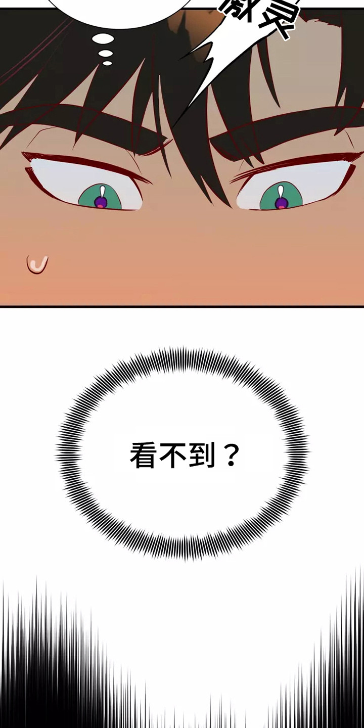 第48章：看不见15