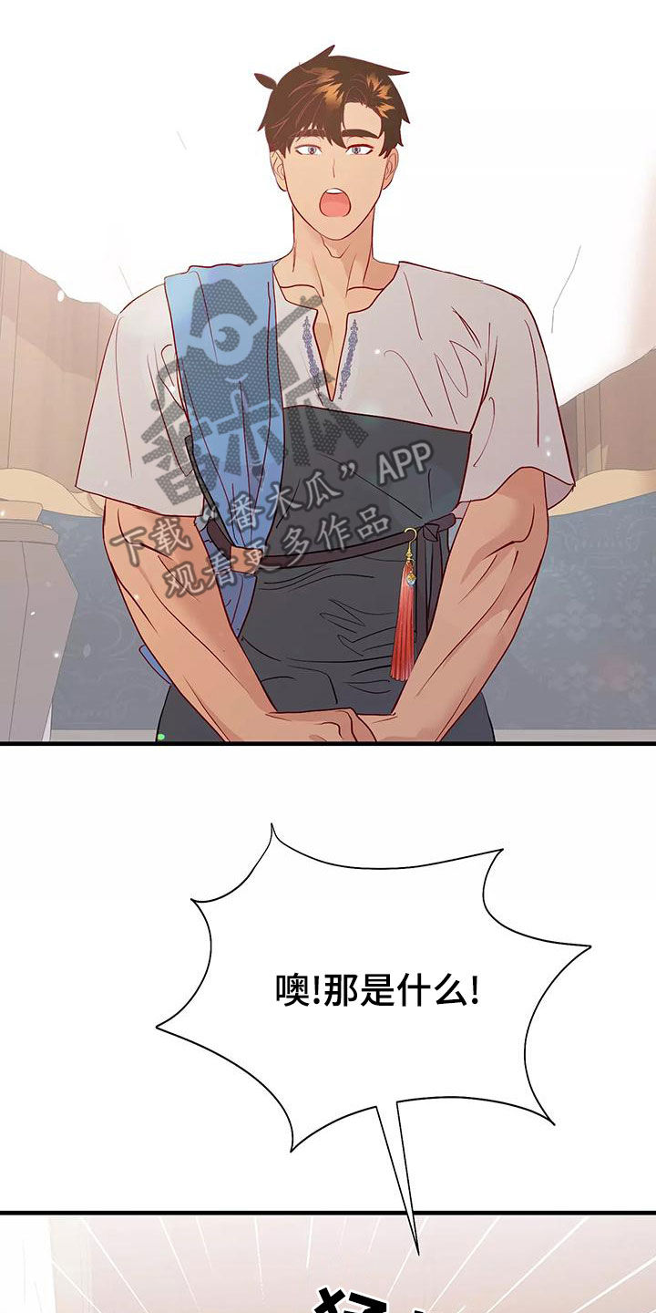 第75章：诊断13