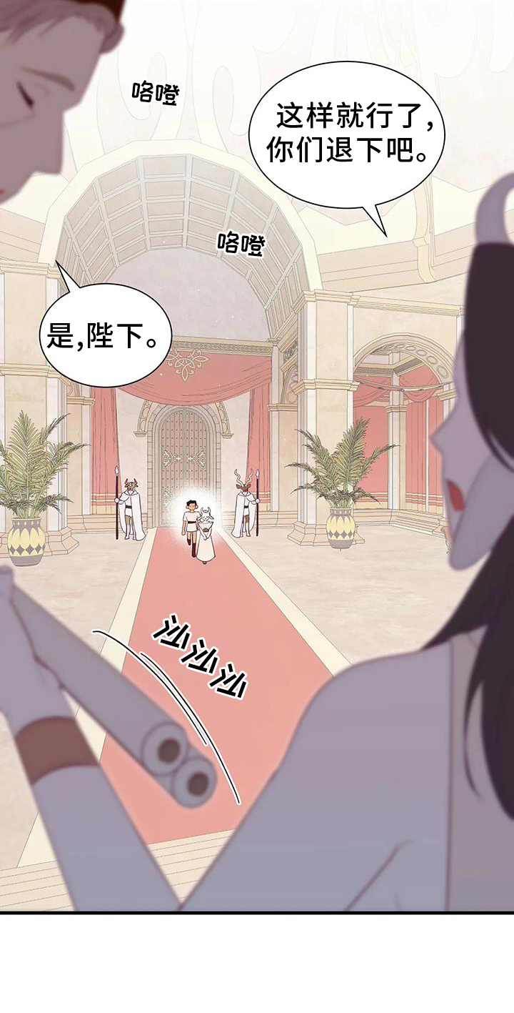 第120章：征询6
