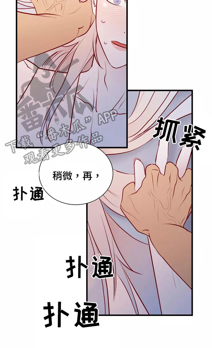 第53章：不是偶然19
