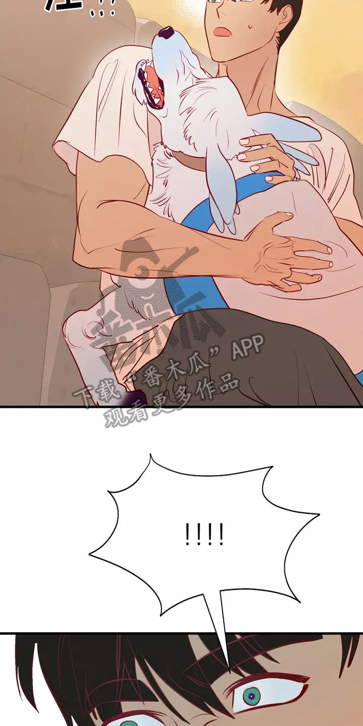 第48章：看不见1