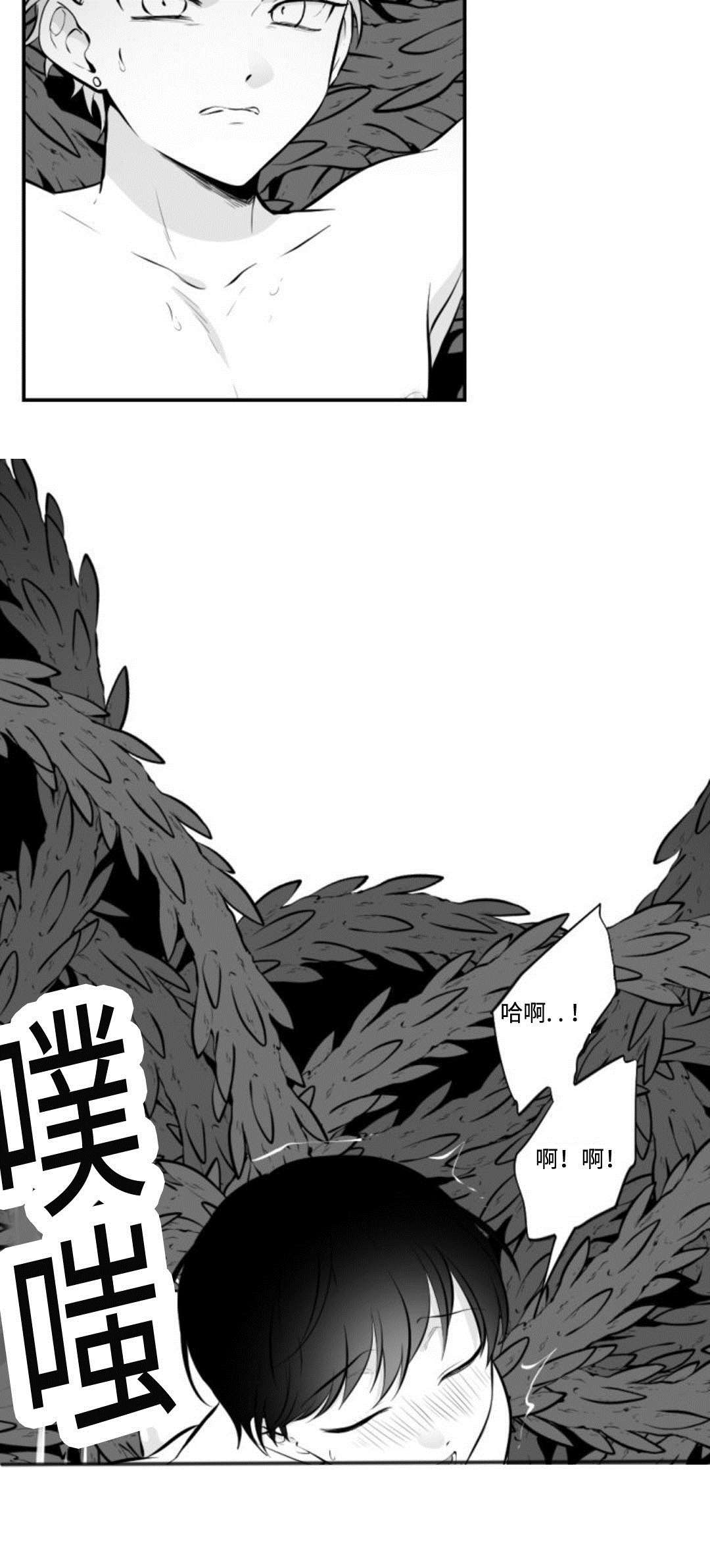第27章：强行9