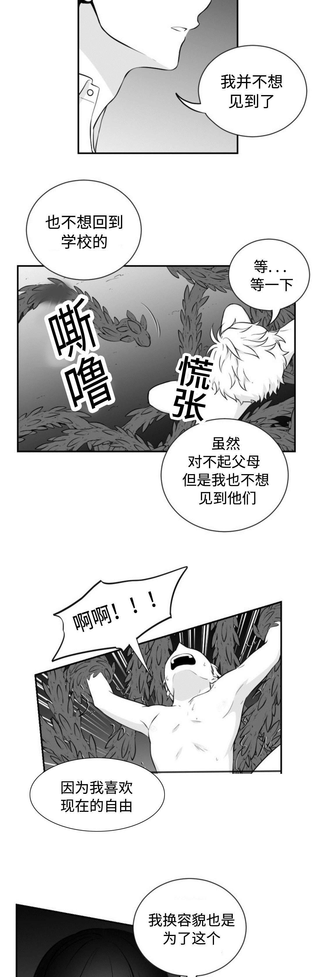 第36章：喜欢自由6