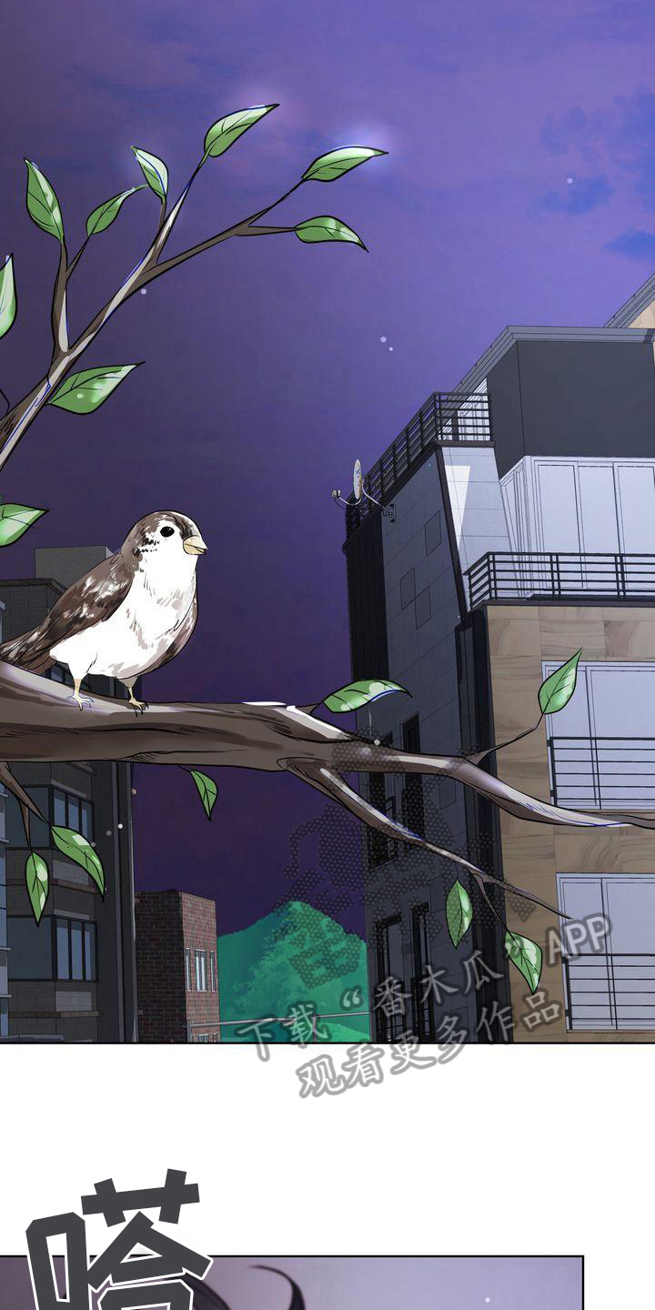 第15章：倾诉4