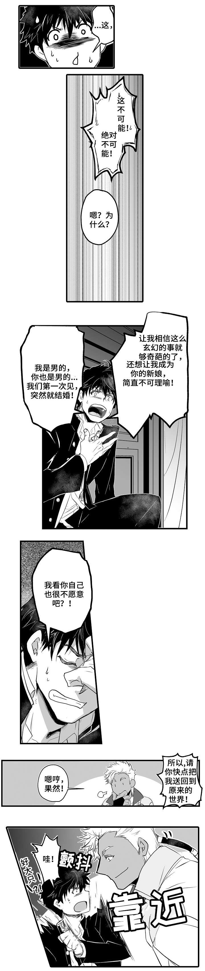 第3章：新娘2