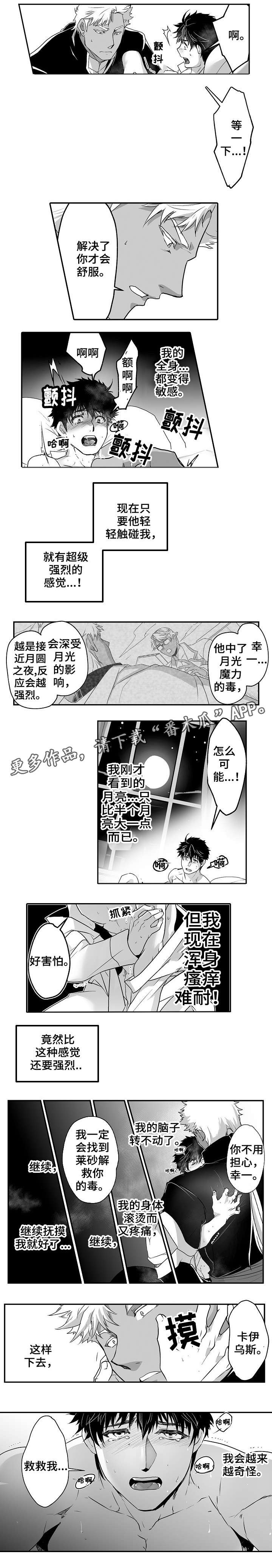 第15章：都喜欢1