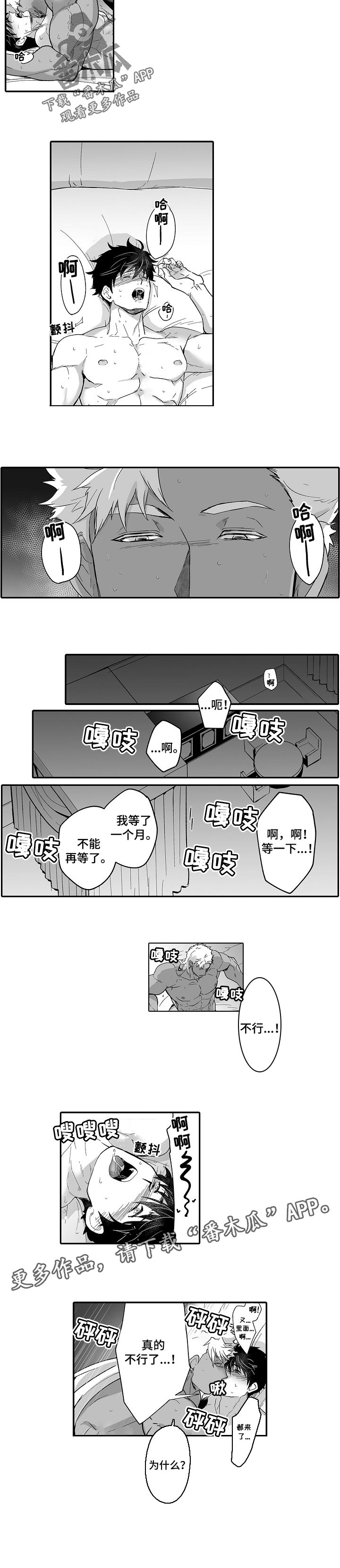 第52章：不能再等了4