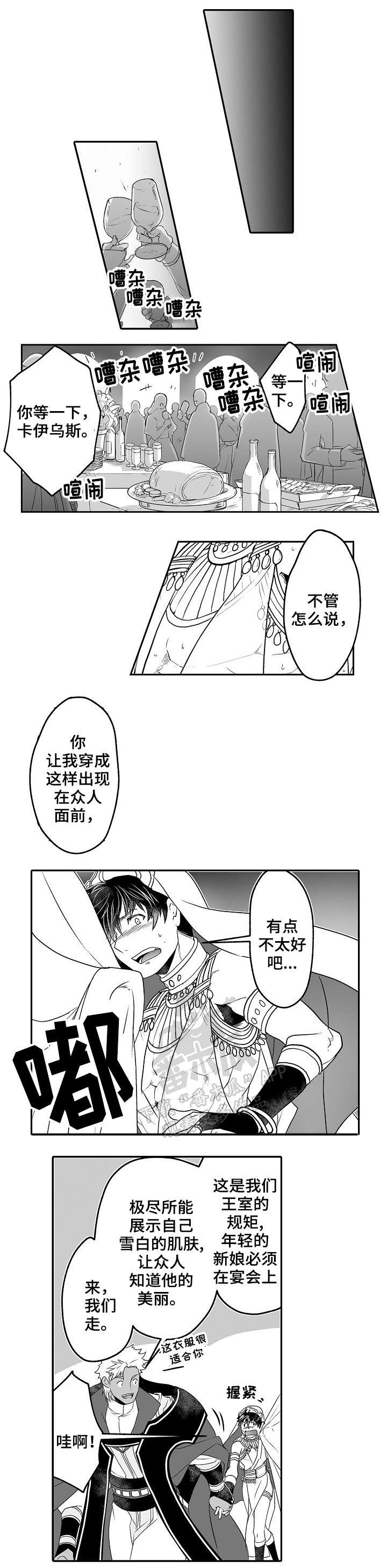 第8章：耀眼4