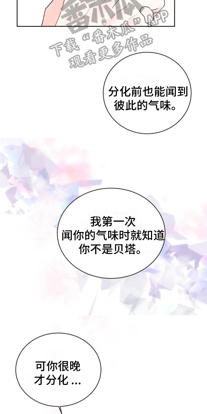 第14章：约定22