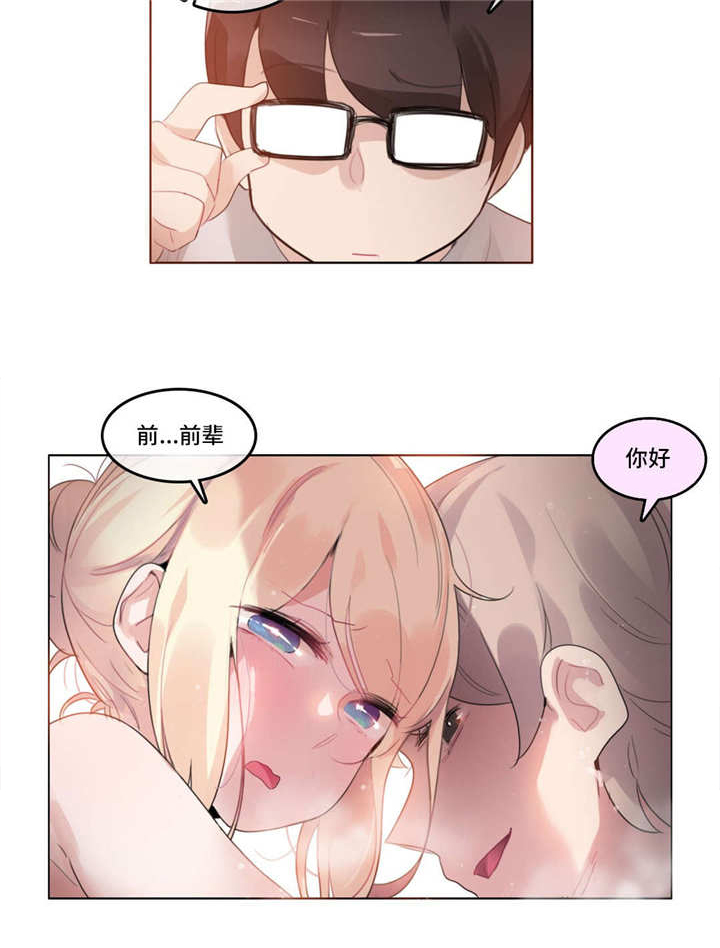 第61章：事实11