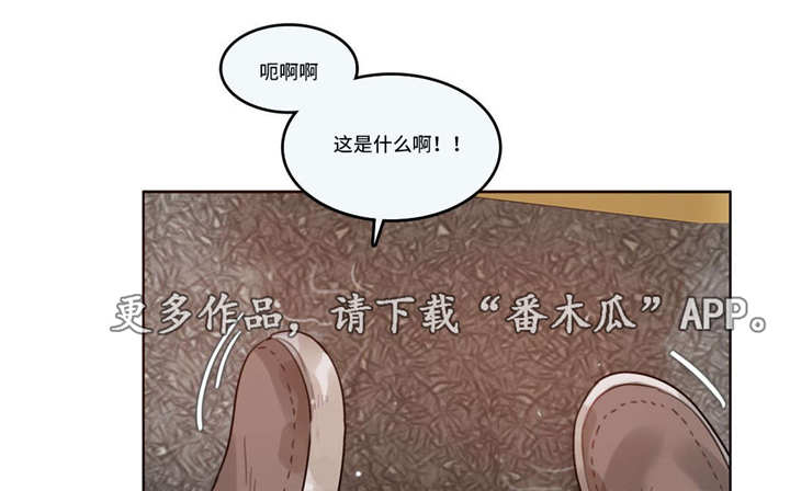 第43章：意外3