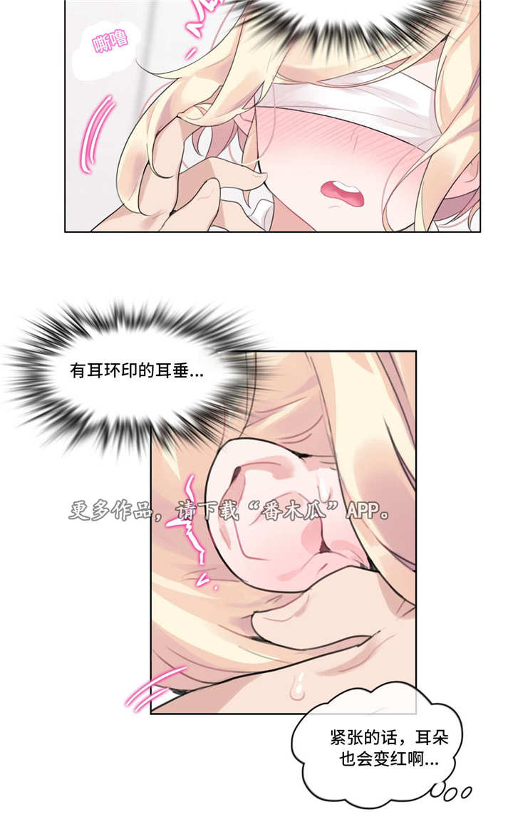 第30章：深入5