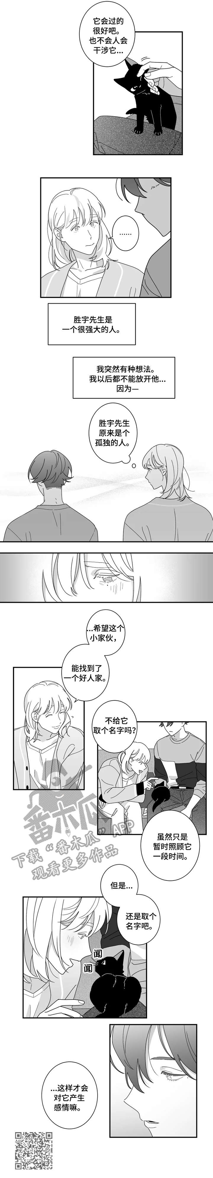 第16章：猫咪5