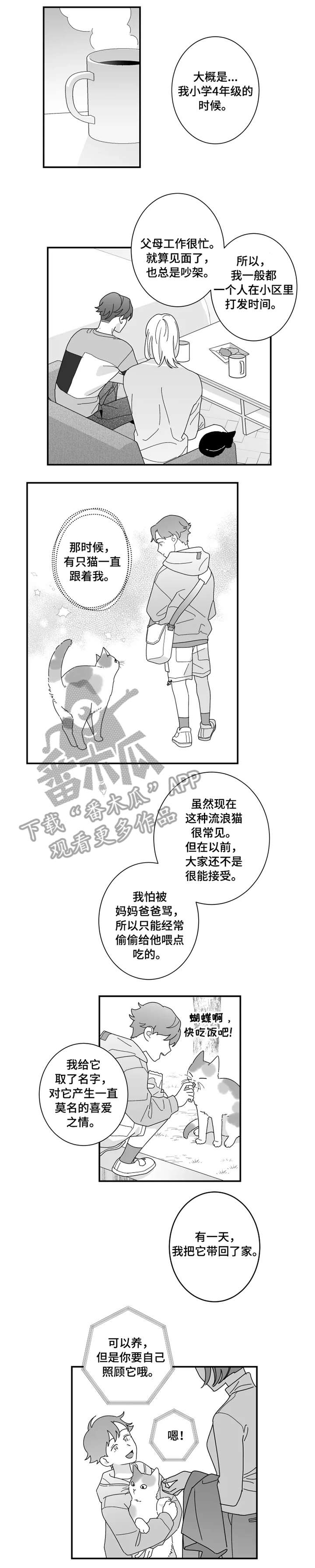 第16章：猫咪3