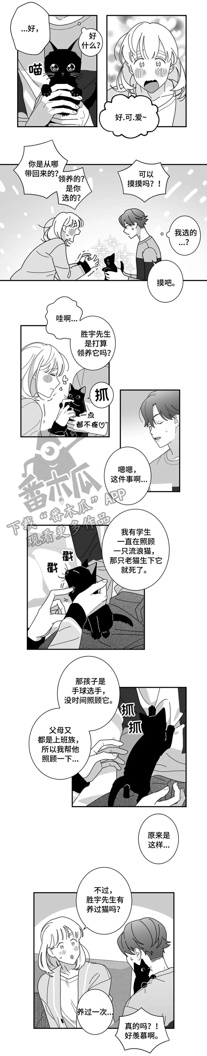 第16章：猫咪0