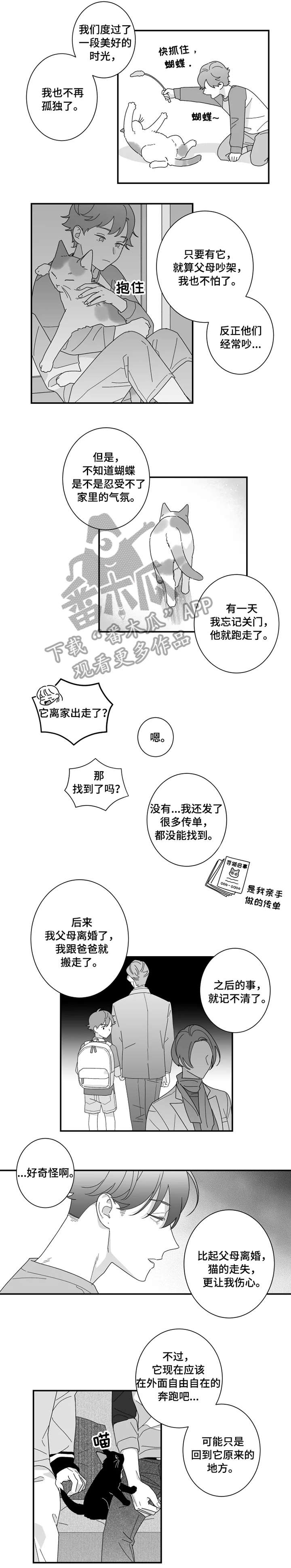 第16章：猫咪4