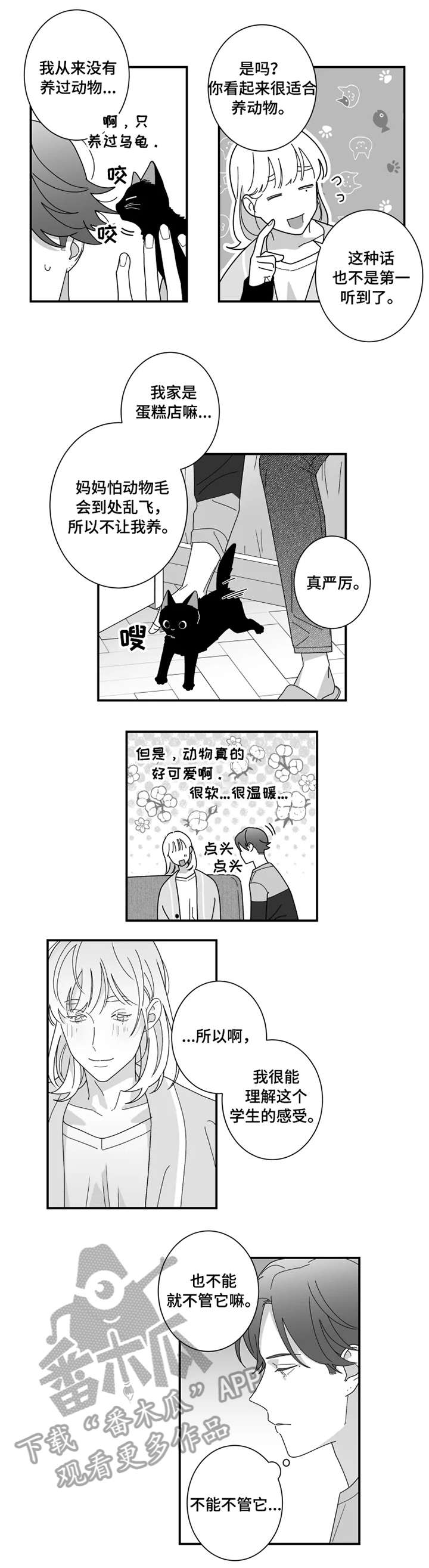 第16章：猫咪1