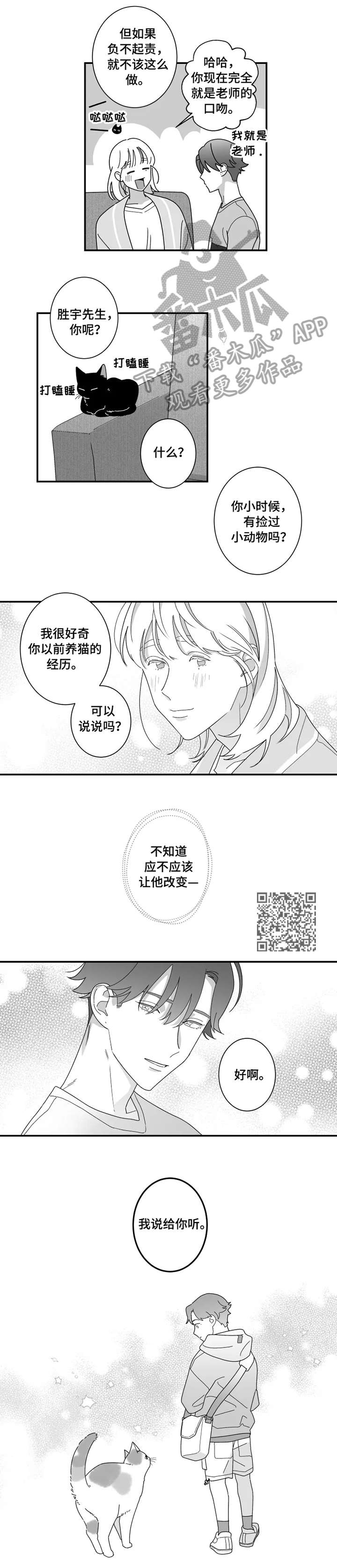 第16章：猫咪2