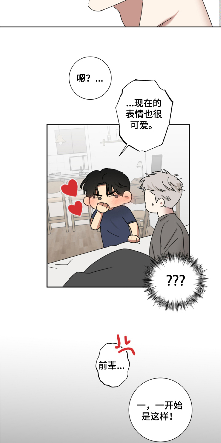 第13章：真心6