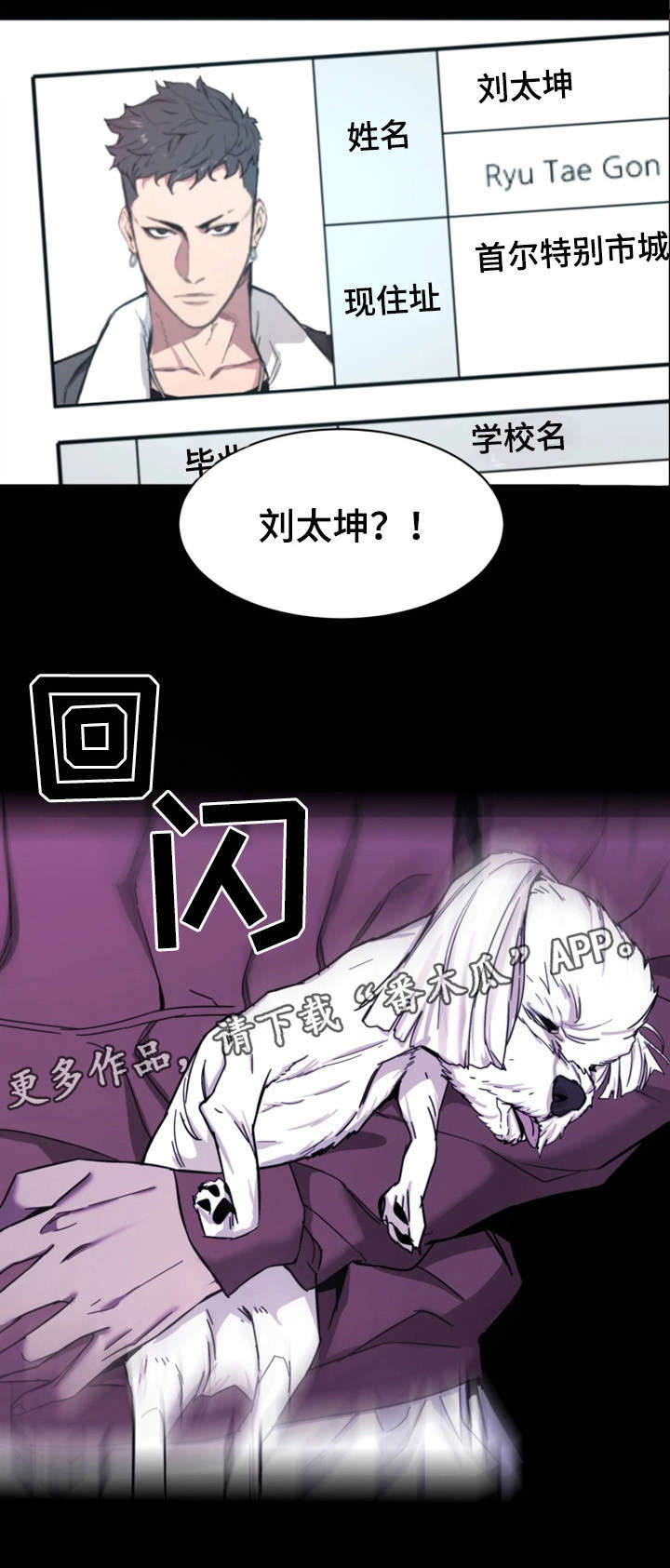 第39章：资料9